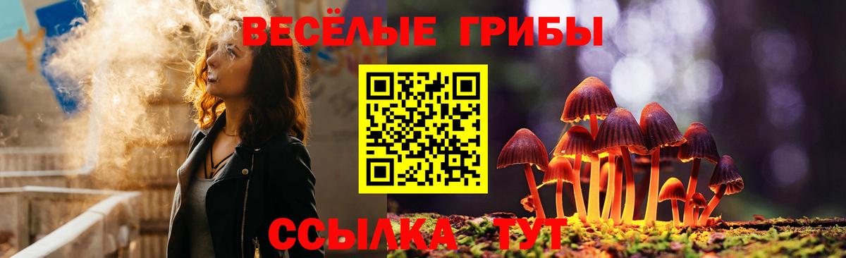 Серов  Галлюциногенные грибы прущие грибы  Галлюциногенные грибы мицелий  Вход с VPN 